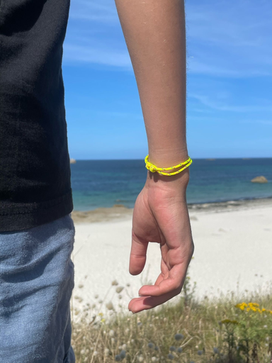 Le Classique Jaune
