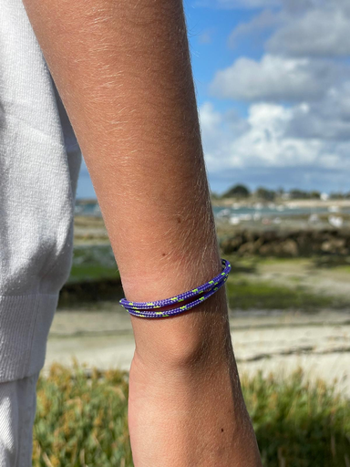 Le Classique Violet